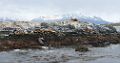 0704-dag-30-016-Terra del Fuego Ushuaia Beagle Canal